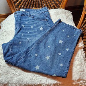 Lane Bryant Jeans, Size 20